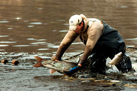 Commerical Fisherman Releasing a Muskie,  Prescott, WI 20110418-4193