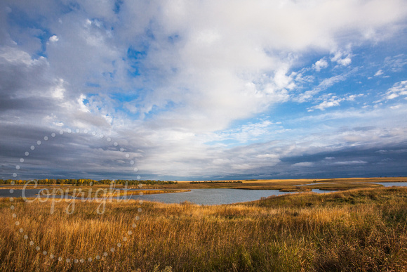 Audubon National Wildlife Refuge, ND 20140929-4939