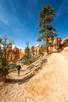 Bryce Canyon National Park, UT 20140405-_MG_9360