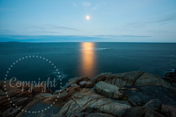 Acadia National Park, ME 20100921-7363