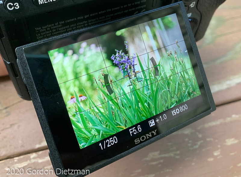 A tilt-out LCD display on the back of the camera showing the leveling overlay.