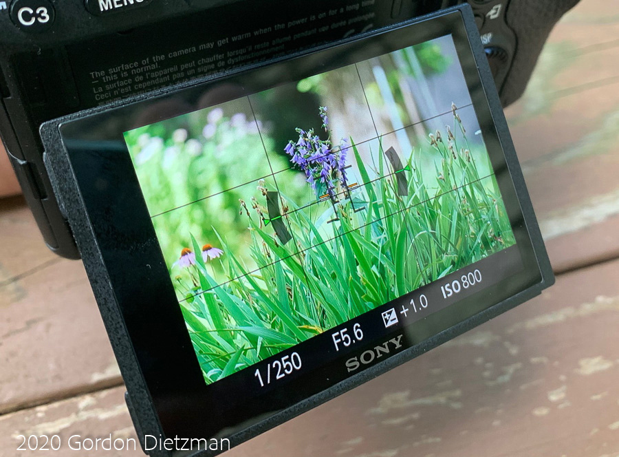A tilt-out LCD display on the back of the camera showing the leveling overlay.