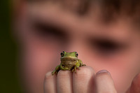 Florida Green Frog 20080223-9695