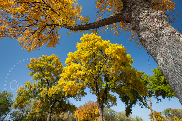 Coldwater Spring, MN 20120929-6080